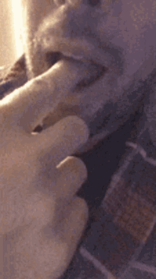 Finger Mouth GIF - Finger Mouth Tongue Out GIFs