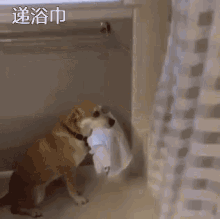 宅男 狗狗 递浴巾 GIF - Otaku Puppy Bath Towel GIFs