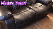 Puppy Couch GIF - Puppy Couch Milestone Moment GIFs