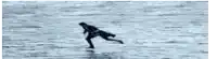 a person in a wet suit is riding a surfboard in the ocean