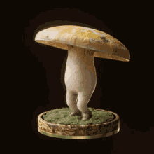 fungiblefungi85 mushroom