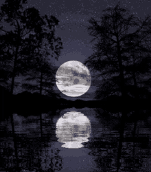 Moon Good Night GIF - Moon Good Night Full Moon GIFs
