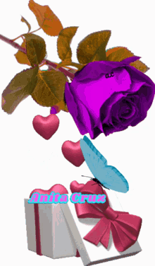 a purple rose with hearts and a butterfly is next to a gift box that says ' anita cruz '