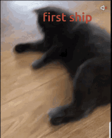 Ship Project GIF - Ship Project GIFs