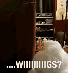 Wig Wiiigs GIF - Wig Wiiigs Toronto GIFs
