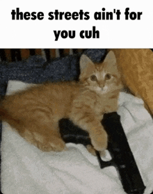a kitten is laying on a towel with a gun in its paws