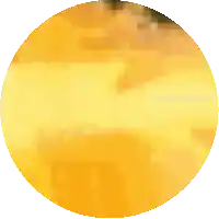 a yellow circle on a white background with a few dots on it