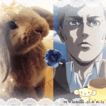 a picture of a rabbit next to a picture of a man with the name erwin milli on the bottom