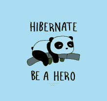 Hibernate Hibernation GIF - Hibernate Hibernation Panda GIFs