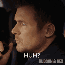 Huh Charlie Hudson GIF - Huh Charlie Hudson Hudson And Rex GIFs