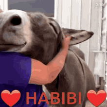 Habibi حبيبي GIF - Habibi حبيبي Love GIFs