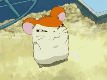 hamtaro cute anime happy yay