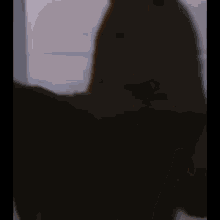Cat Black GIF - Cat Black GIFs