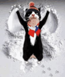 Snow! GIF - Merry Christmas Animals Cat GIFs