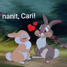 Nanit Cari Nessquirrel Bunny GIF - Nanit Cari Nessquirrel Bunny Love GIFs