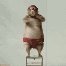 Fat Hamster GIF - Fat Hamster Happy Dance GIFs