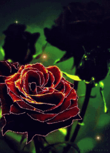 Rose Red Rose GIF - Rose Red Rose Glitter GIFs
