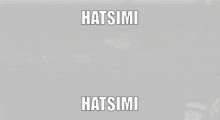 Hatsimi Makar GIF - Hatsimi Makar Zelda GIFs