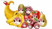 a bunch of fruits with faces on them on a white background