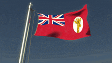 a red flag with a giraffe on it is flying in the wind
