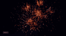 Fireworks Coachella GIF - Fireworks Coachella Sparkle GIFs