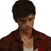 a man in a plaid shirt is holding a glass