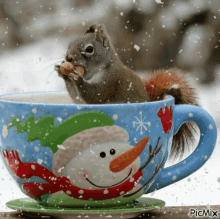 squirrel christmas