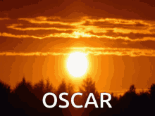 Jerboa Oscar GIF