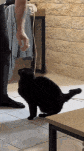 a black cat is playing with a person 's foot