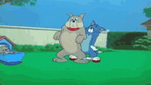 tom and jerry tom y jerry hiccup pup spike hidden