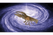 Spinning Lobster GIF - Spinning Lobster Crawfish GIFs