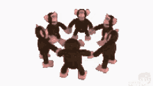 Funny Monkey Everyday Monkey Dancing GIF - Funny Monkey Everyday Monkey Dancing Monkey Dancing Meme GIFs