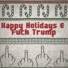 a knitted sweater says happy holidays fuck trump