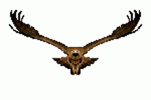 Eagle Bird Sticker - Eagle Bird Flying - Discover & Share GIFs