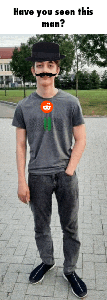 a man wearing a hat and a mustache is standing on a sidewalk with the words have you seen this man below him