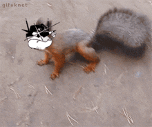 Antisocial Frogs GIF - Antisocial Frogs GIFs