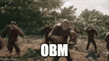 Obm Monke GIF - Obm Monke Monkey GIFs