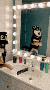 a dog is standing in front of a mirror wearing a hat that says peace