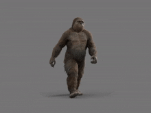 Gigantopithecus Walking GIF