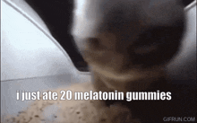 Cat Melatonin GIF - Cat Melatonin Animal GIFs