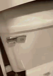 Flush Toilet GIF