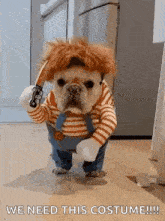 Pets Dogs GIF