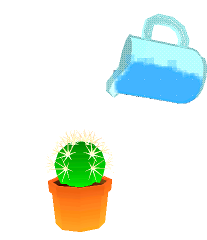 Cactus Water Sticker