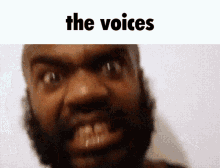 voices might