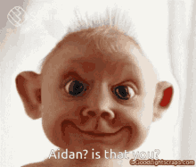 Aidan Is That You GIF