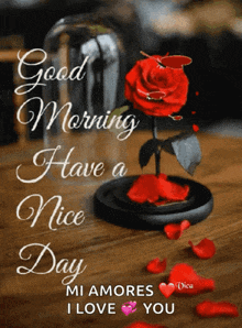 a red rose in a glass dome with the words " good morning have a nice day "