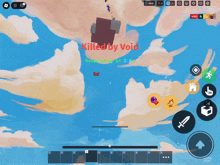 a screenshot of a video game with the words killed by void on the screen