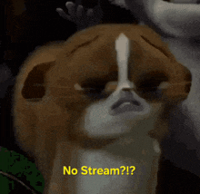 a cartoon cat says " no stream " in yellow