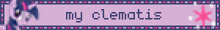 a purple banner that says my clemotis