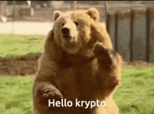 Hello Krypto GIF - Hello Krypto GIFs